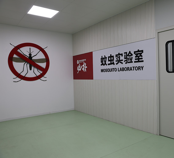 室内模拟蚊虫试验现场